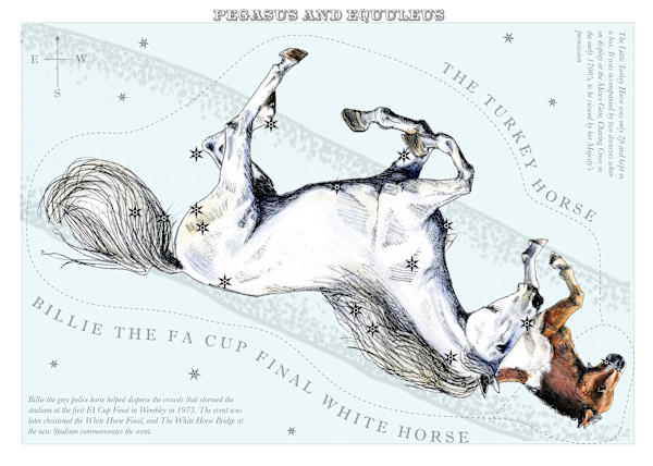 Pegasus and Equuleus (Pegasus and the Little Horse) by Anna Walsh, Image 2.