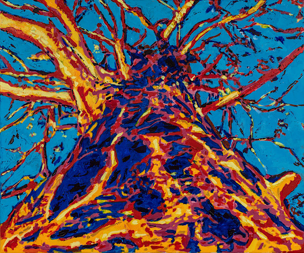 Sullington Warren Tree by Samantha Jane Anderson, Image 1.