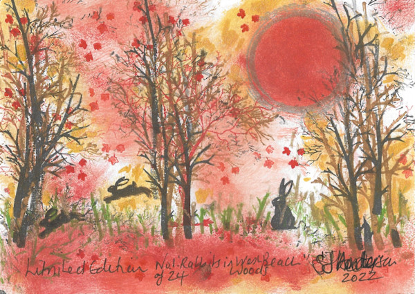 Rabbits at West Beach Woods 1/24 by Samantha Jane Anderson
