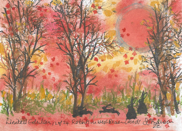 Rabbits at West Beach Woods 12/24 by Samantha Jane Anderson