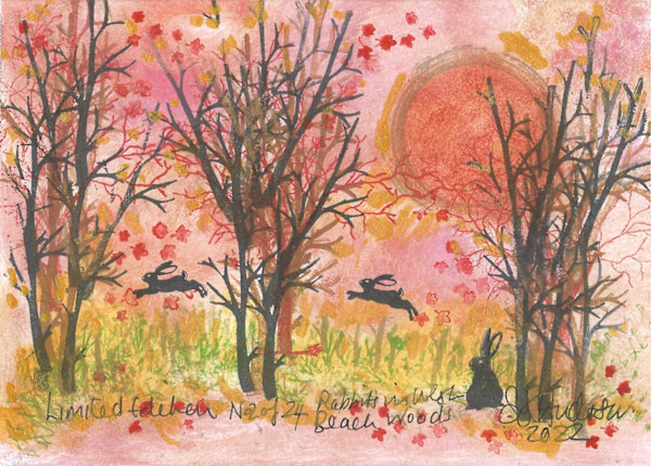 Rabbits at West Beach Woods 2/24 by Samantha Jane Anderson