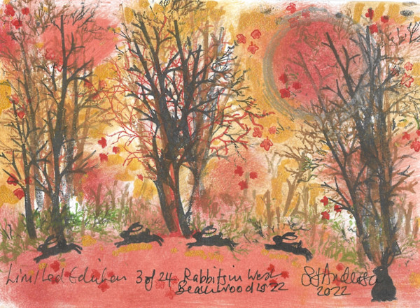 Rabbits at West Beach Woods 3/24 by Samantha Jane Anderson