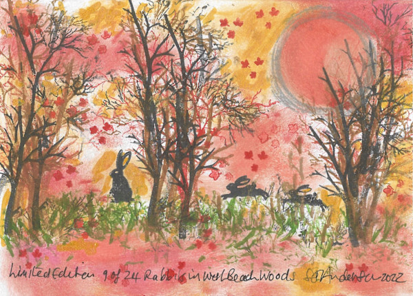 Rabbits at West Beach Woods 9/24 by Samantha Jane Anderson