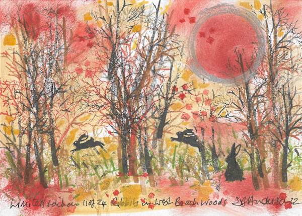 Rabbits at West Beach Woods 11/24 by Samantha Jane Anderson