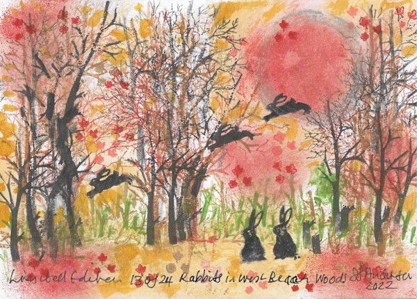 Rabbits at West Beach Woods 13/24 by Samantha Jane Anderson