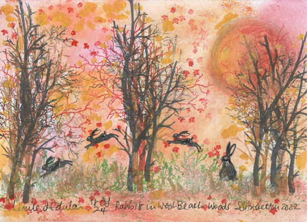 Rabbits at West Beach Woods 18/24 by Samantha Jane Anderson