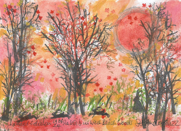 Rabbits at West Beach Woods 19/24 by Samantha Jane Anderson