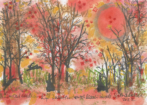 Rabbits at West Beach Woods 21/24 by Samantha Jane Anderson