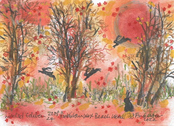 Rabbits at West Beach Woods 22/24 by Samantha Jane Anderson