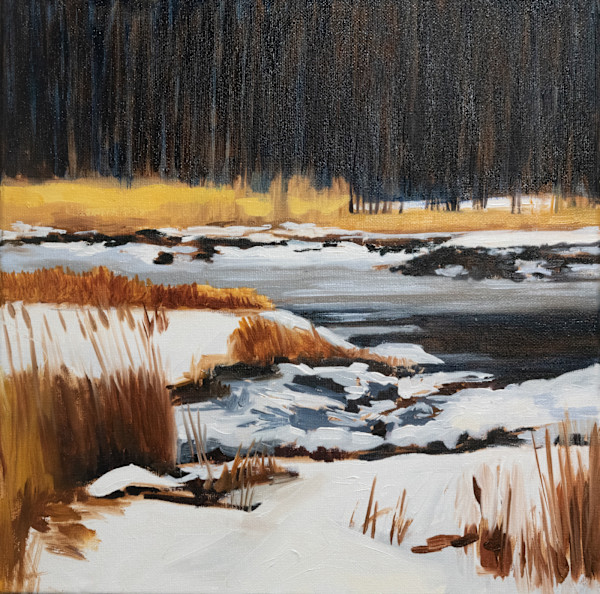 Icy Marsh by Patricia Pardini, Image 1.