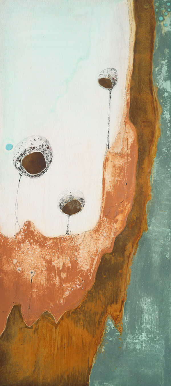 Spores by Andreina Davila