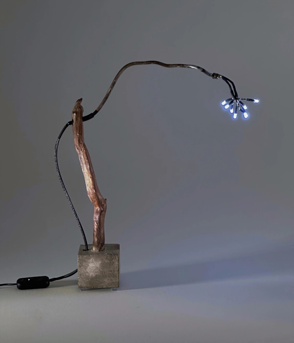 Tree of Light by Brian Caiazza