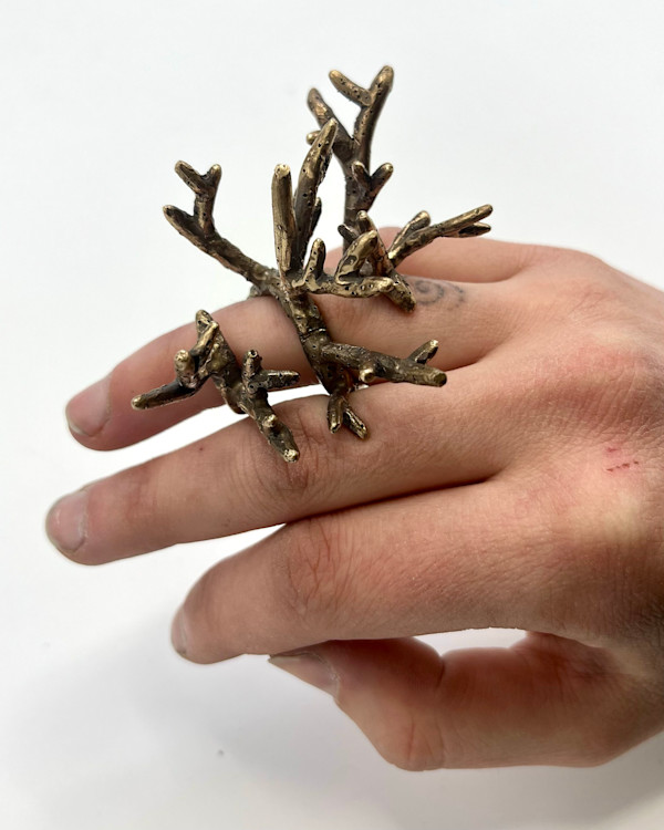 Coral Ring by Adyson McCullough