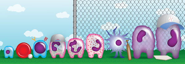 Blood Cell Lineup by Adyson McCullough