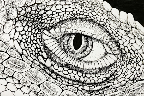 Lizard Eye by Adyson McCullough