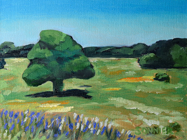 Lady Bird's Legacy by Lori Sonnier, Image 1.