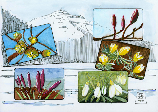 Zug, Frühlingserwachen, 2026 by Martin Spillmann, Image 1.