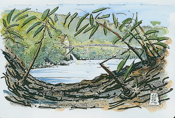Brunnemühlesteg in Brugg, 2026 by Martin Spillmann, Image 1.