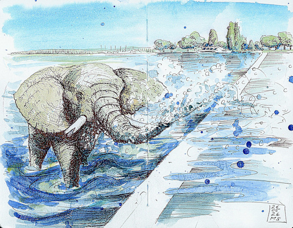 Elefant an der Zuger Seepromenade, 2026 by Martin Spillmann, Image 1.