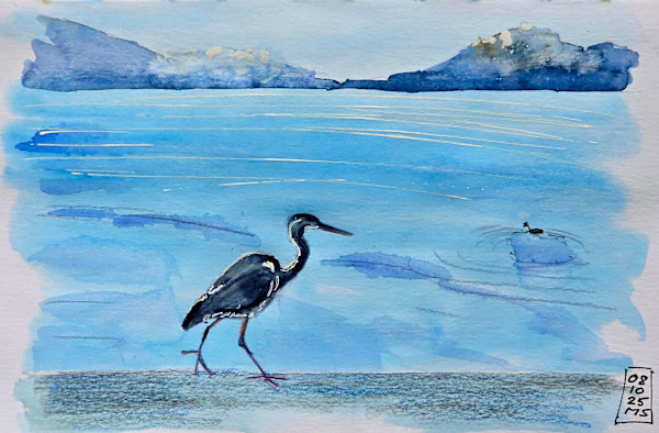 Zug Seepromenade mit Graureiher by Martin Spillmann