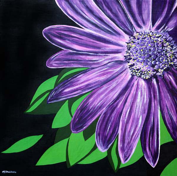 Purple Star by Alyson Sheldrake