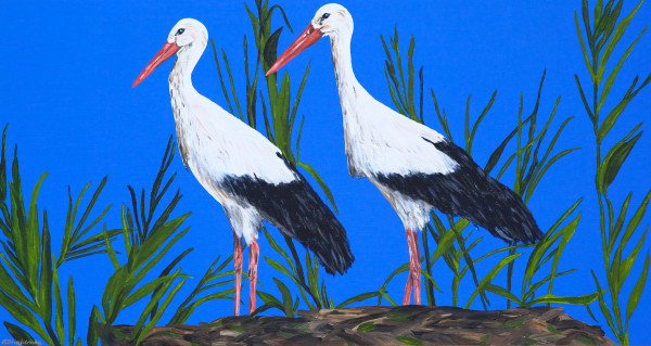 White Storks - Majestic by Alyson Sheldrake
