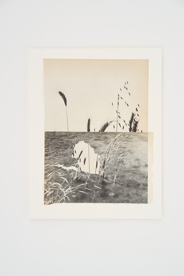 Wheat from Chaff by Amy Berlin, Image 2.