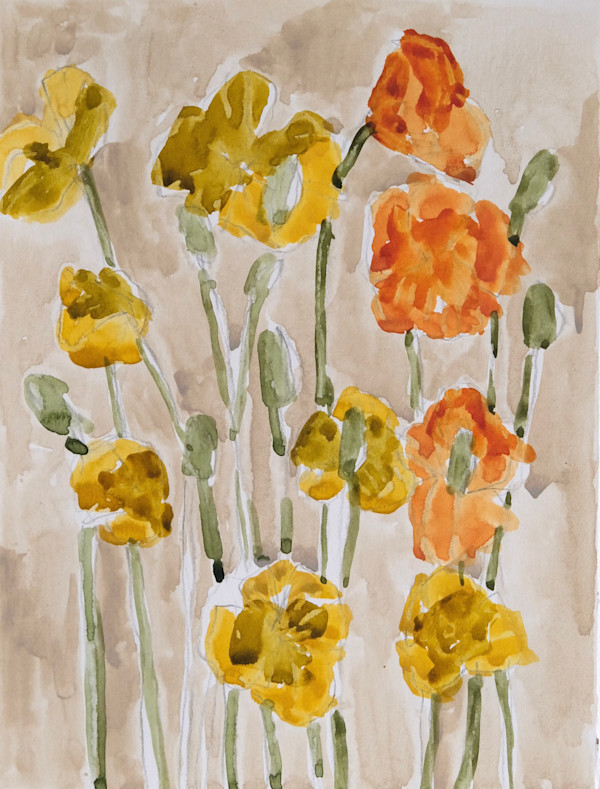 Yellow and Orange Poppies by Lezanne Scott