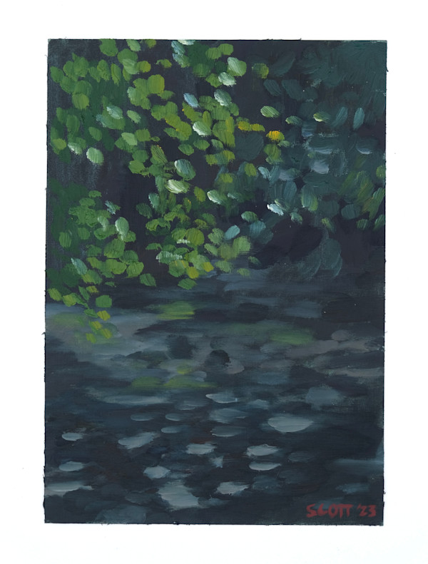 A Presence in the Shadows by Lezanne Scott, Image 1.