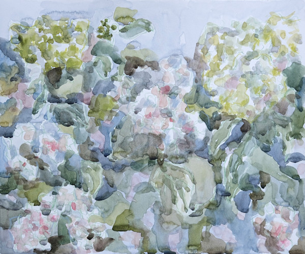 The Hydrangeas by Lezanne Scott