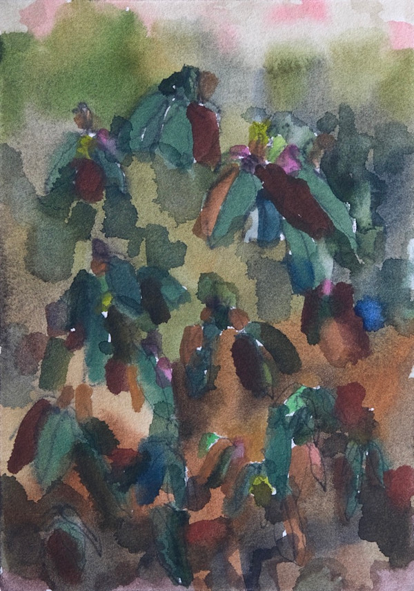 The Rhododendrons by Lezanne Scott