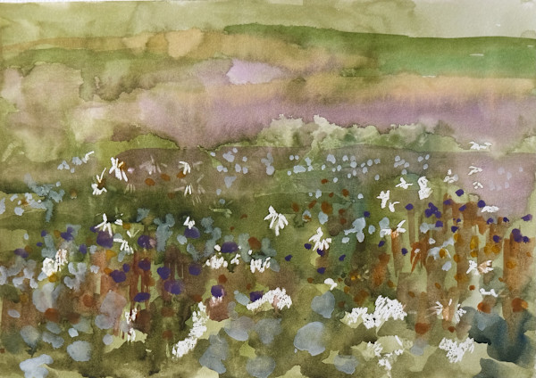 The Wildflowers in Finland by Lezanne Scott