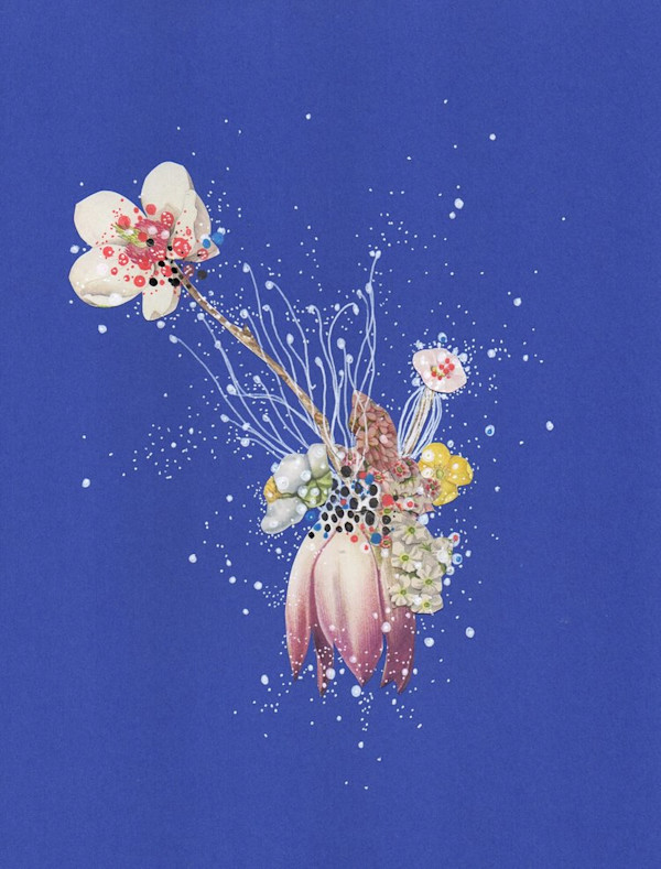 Curious Celestial Vine by Jenny Brown , Image 1.