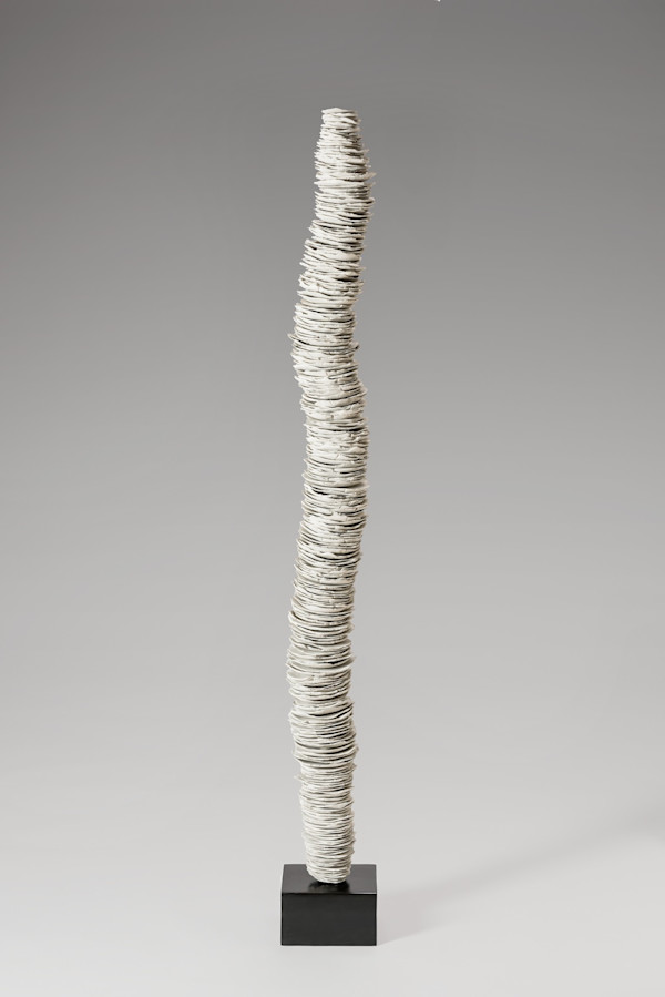 Lanice Conchilega by Tiffany Adams, Image 2.