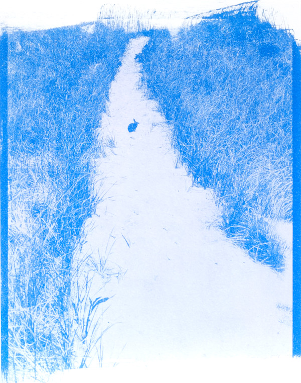 Oceanscape 12 | Framed by Sarah Lawhorne, Image 1.