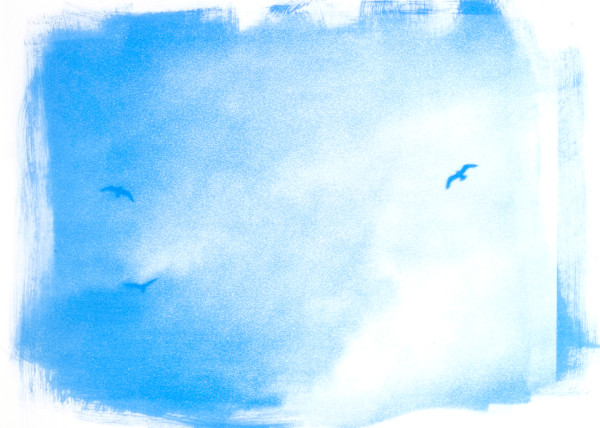 Oceanscape 18 | Framed by Sarah Lawhorne, Image 1.