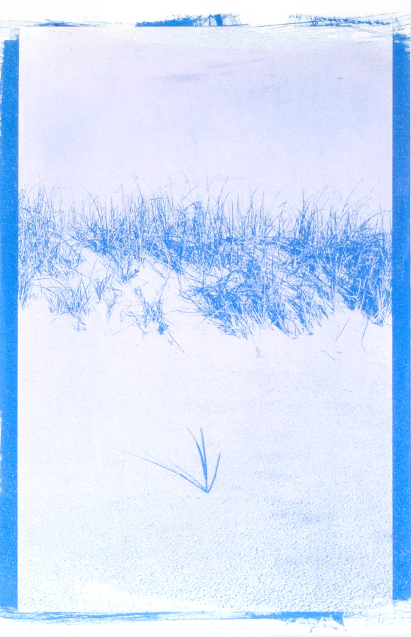 Oceanscape 19 | Framed by Sarah Lawhorne, Image 1.