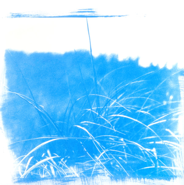 Oceanscape 28 | Framed by Sarah Lawhorne, Image 1.