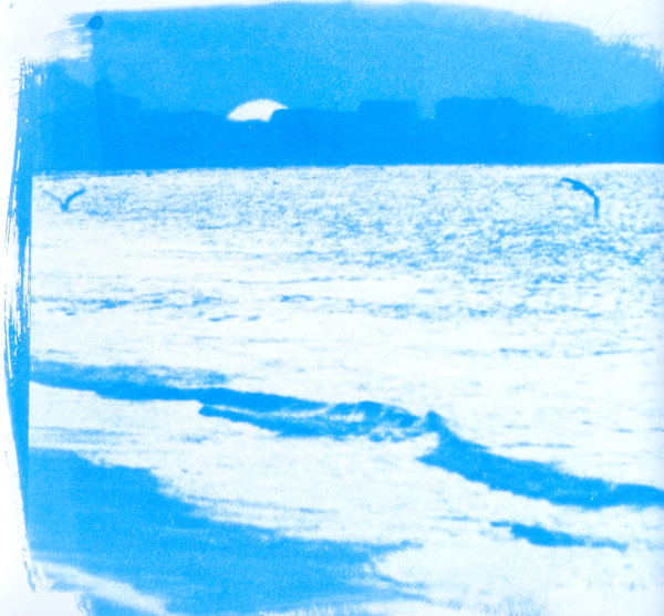 Oceanscape 30 | Framed by Sarah Lawhorne, Image 1.