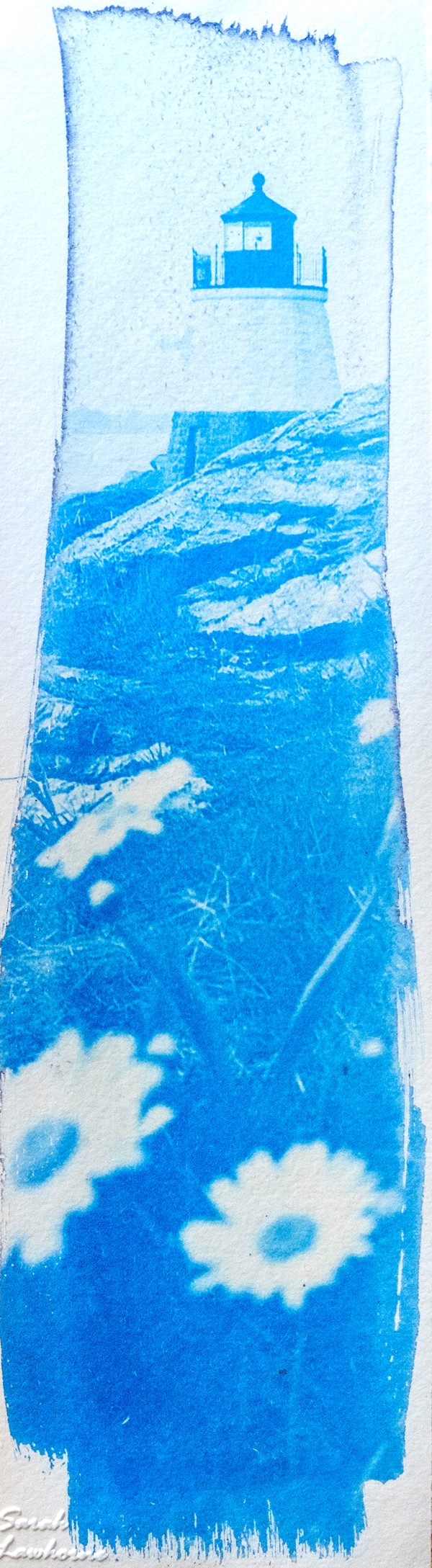 Oceanscape 43 | Framed by Sarah Lawhorne, Image 1.