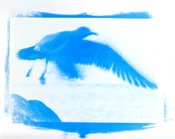 Oceanscape 6 | Framed by Sarah Lawhorne, Image 1.