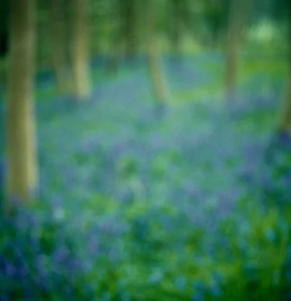 Wormsley Estate 2003 by John Huggins, Image 1.