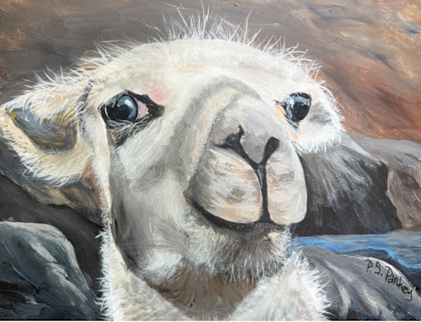 Don’t make me spit at you by Pamela Pankey, Image 1.
