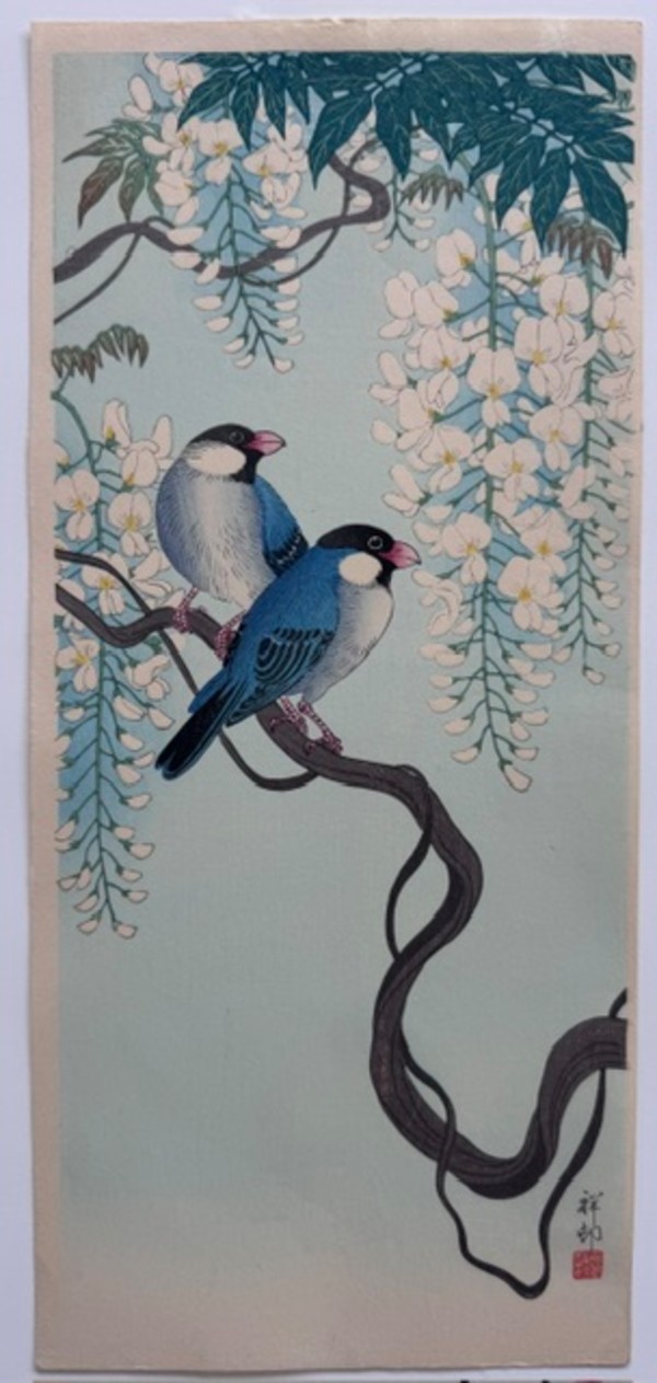 Buncho birds and Wisteria by Ohara Koson, Image 1.