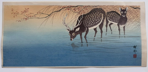 Deer in Shallow Water by Ohara Koson, Image 1.