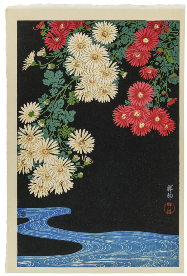 Chrysanthemums Over Flowing Water or Kiku to Mizu by Ohara Koson, Image 1.