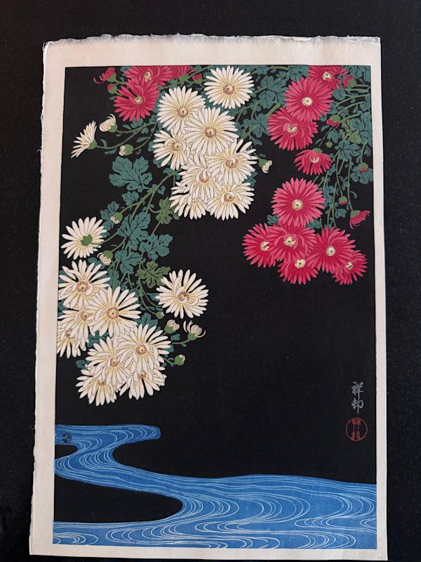 Chrysanthemums Over Flowing Water or Kiku to Mizu by Ohara Koson, Image 1.