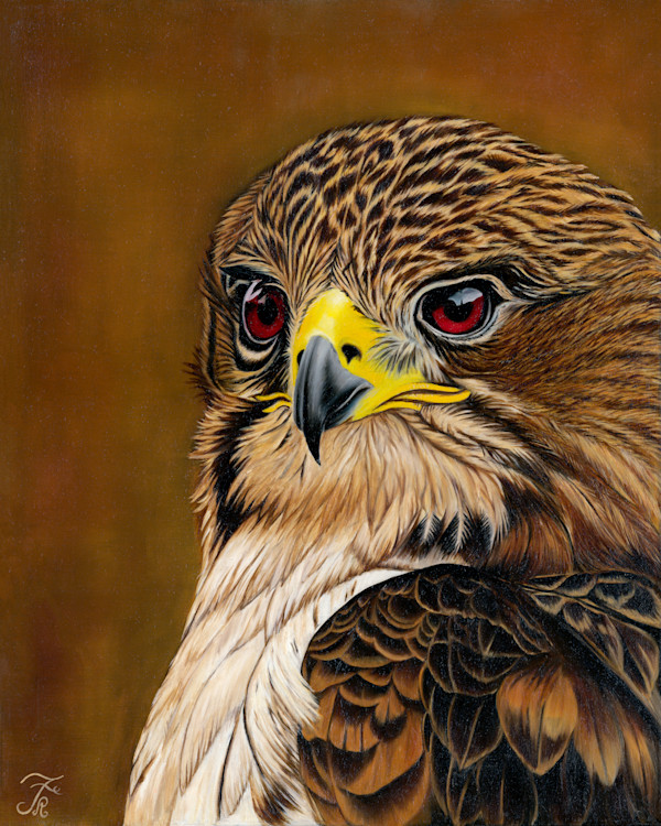 Aquiline by Rose Rezaei