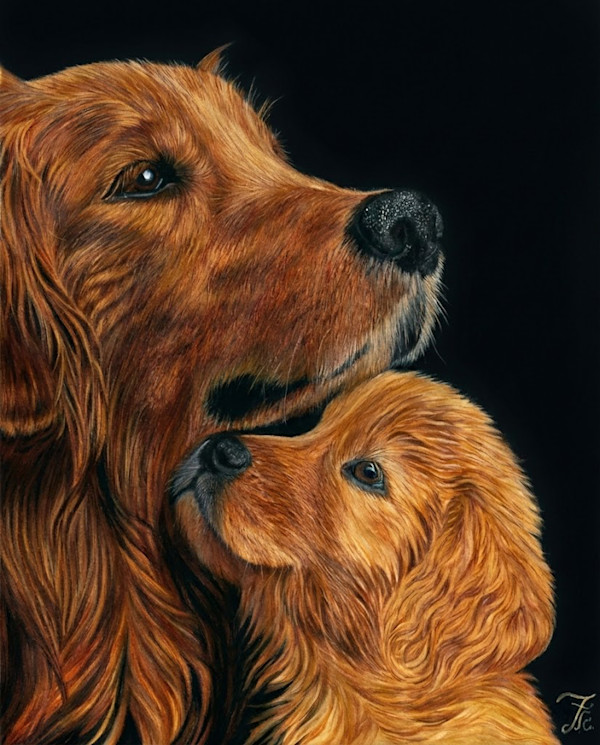 Sanctuary by Rose Rezaei