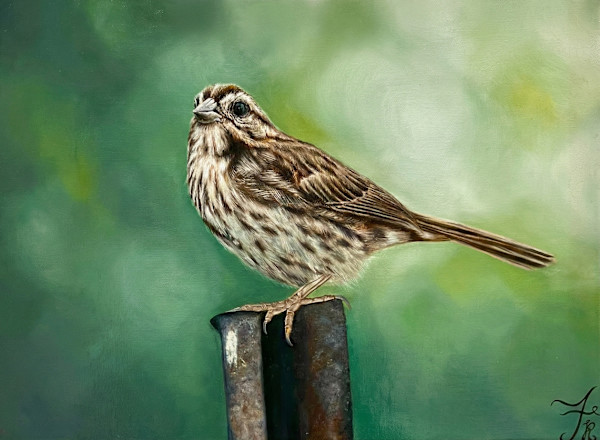 Sparrow in Spring by Rose Rezaei